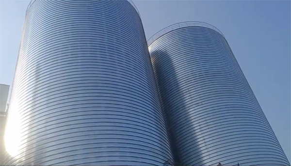 敦煌2座混凝土高架卷板仓